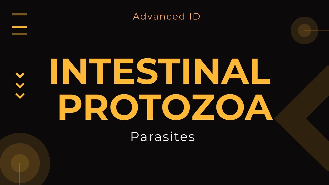 Intestinal Protozoa