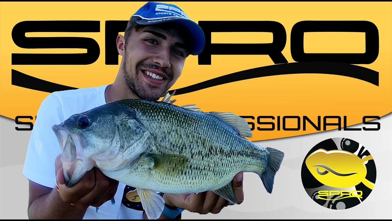 LA PESCA de Black bass en Alcántara, EXTREMADURA