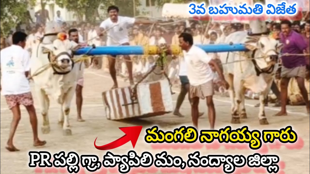 రాచాల సీనియర్స్ విభాగం 5వ జత. మంగలి నాగయ్య గారు..