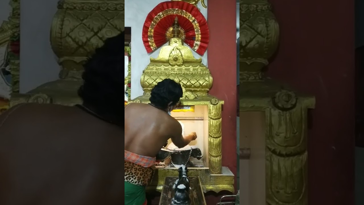 01.03.26 பிரதோஷம். விசுவநாத சமேத விசாலாட்சி தாயாருக்கு அபிஷேகம் அலங்காரம் மற்றும் தீபாராதனை.