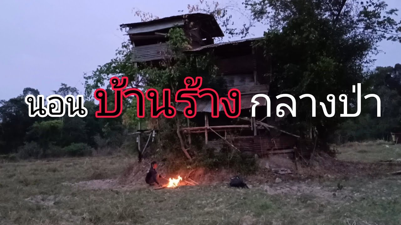 นอนบ้านร้างในป่าลึกคนเดียว1คืน ตกดึกส่องเจอตัวอะไร !? คล้ายชะมดเดินออกมาหากิน