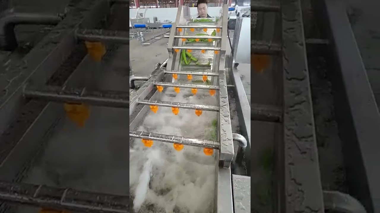 Water circulation lettuce tomato strawberry leaf vegetable and fruit air bubble washing machine
