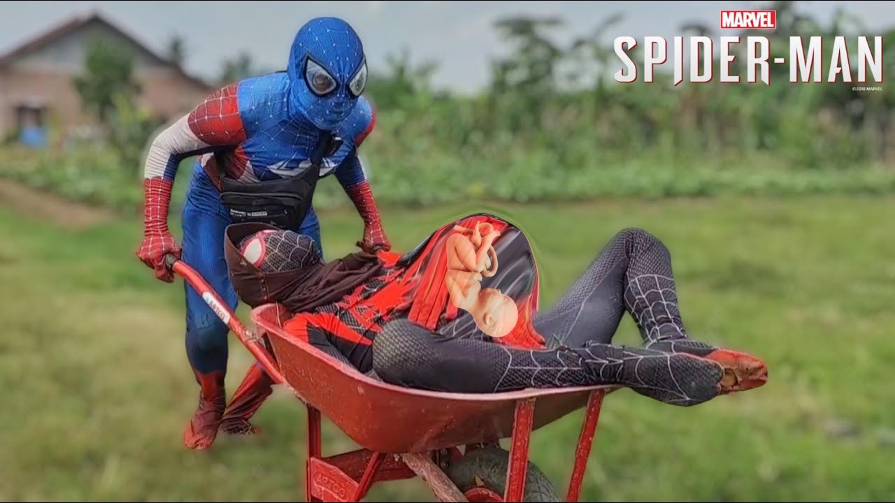 Spiderman Buncit Melahirkan