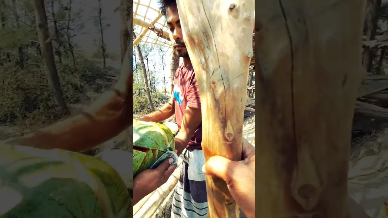 কক্সবাজার মেরিন ড্রাইভ এলাকায় অসাধারণ তরমুজ খেলাম