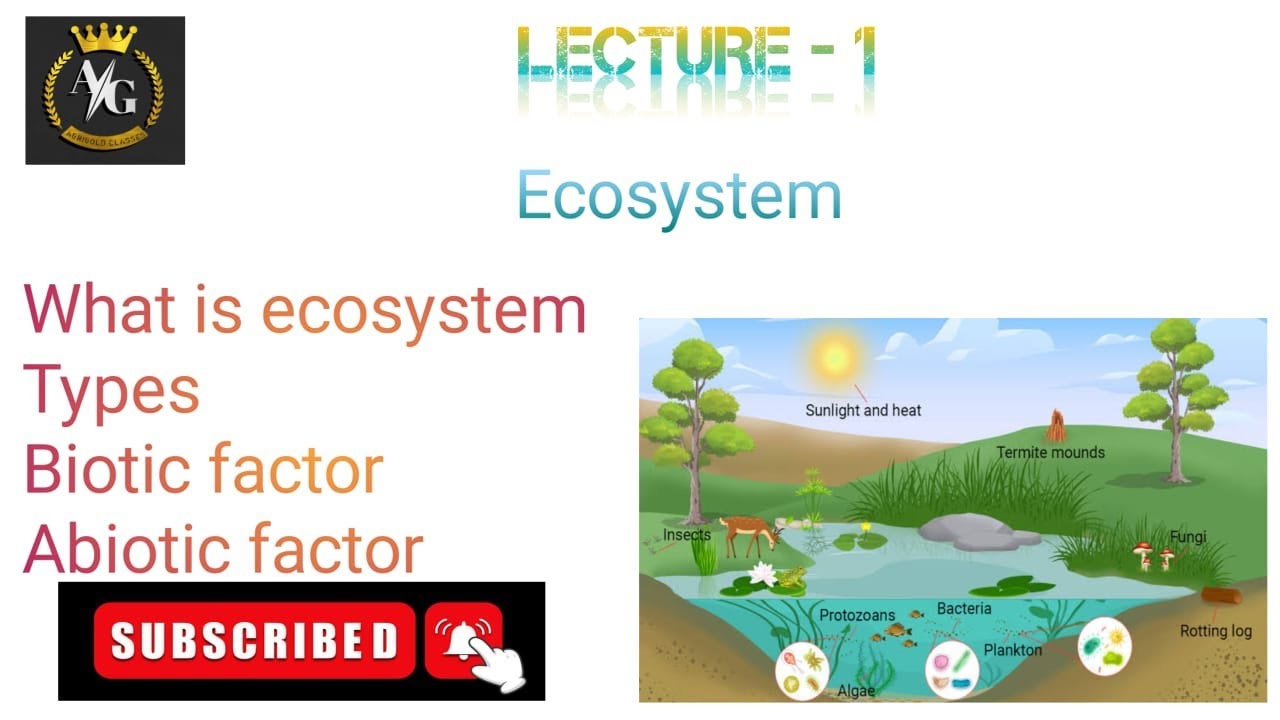 What is Ecosystem and its types || Biotic and Abiotic Factor || Living and non- living organism ||