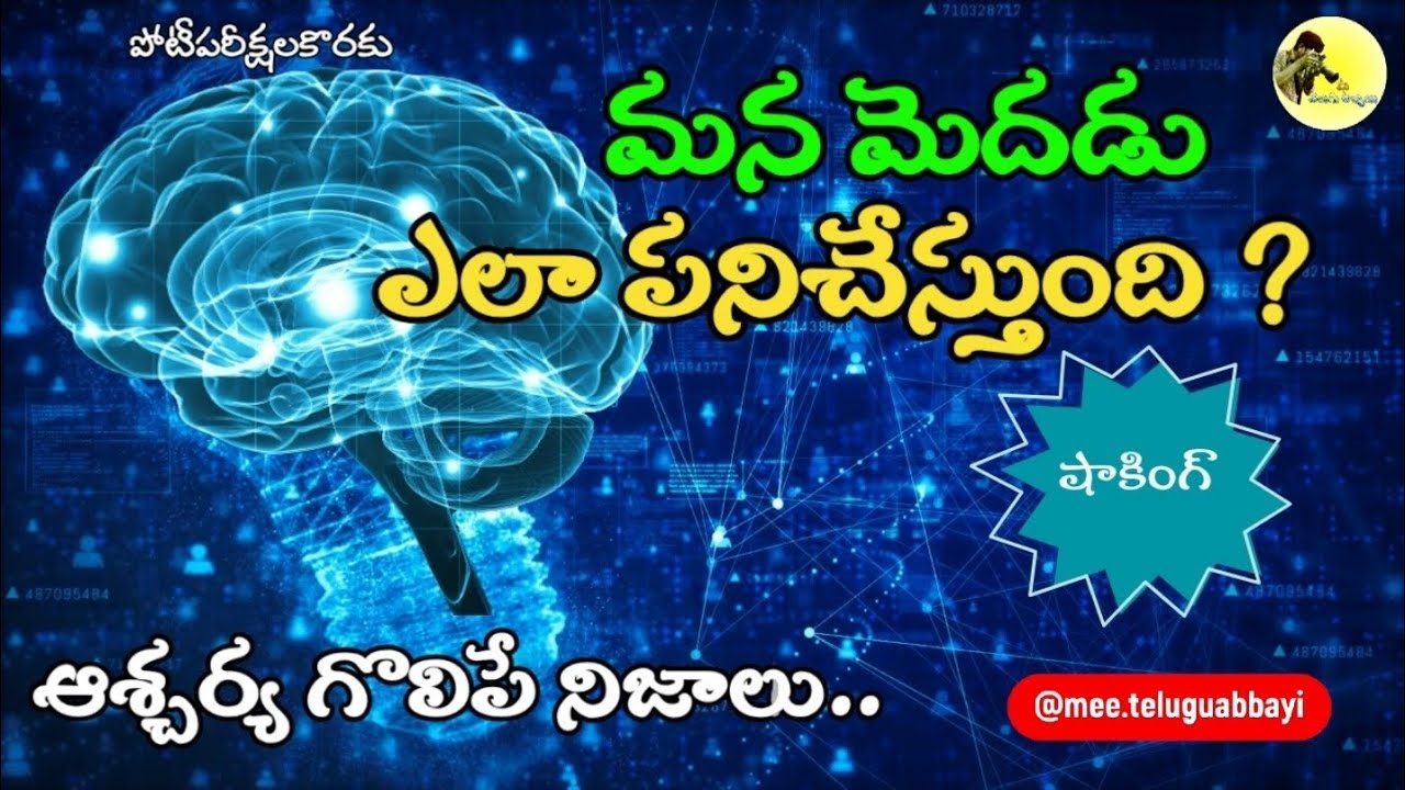 మన‌ మెదడు ఏమి చేస్తుంది? #humanbrain #facts #shocking #viralvideo #generalknowledge #trendingtoday