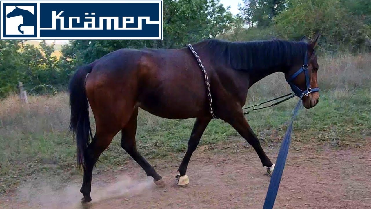 Lavoro Morgana alla corda! - Test KRAMER | Irene Biagioni