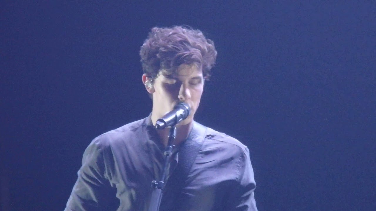 Shawn Mendes - Bad Reputation