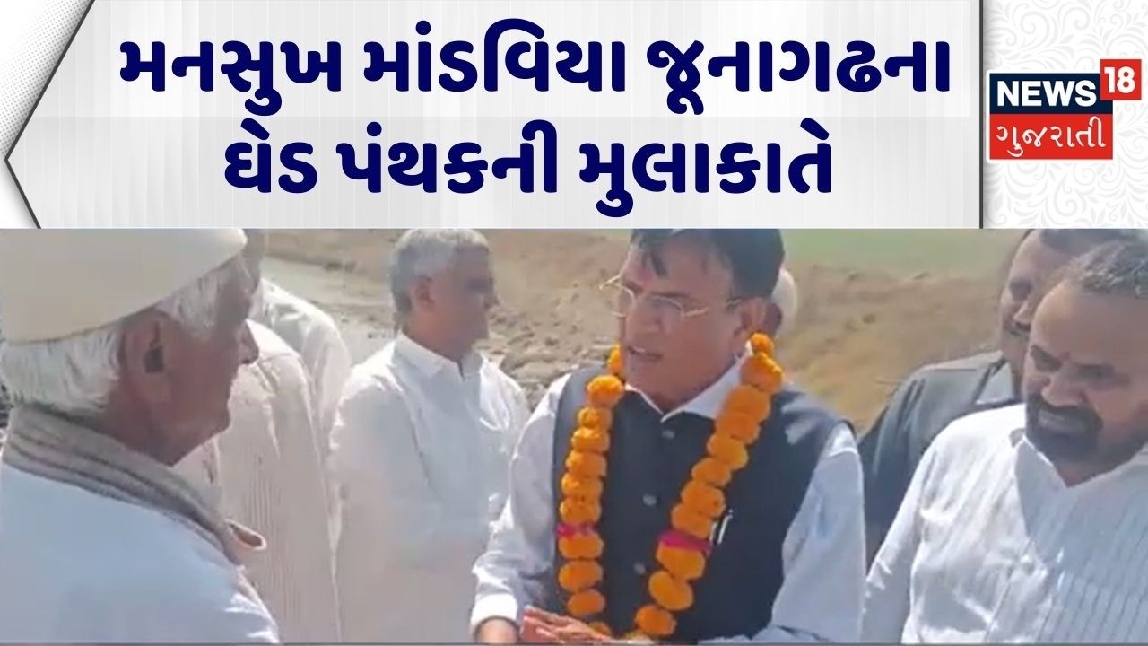 Porbandar Political | મનસુખ માંડવિયા જૂનાગઢના ઘેડ પંથકની મુલાકાતે | Mansukh Mandaviya |Gujarati News