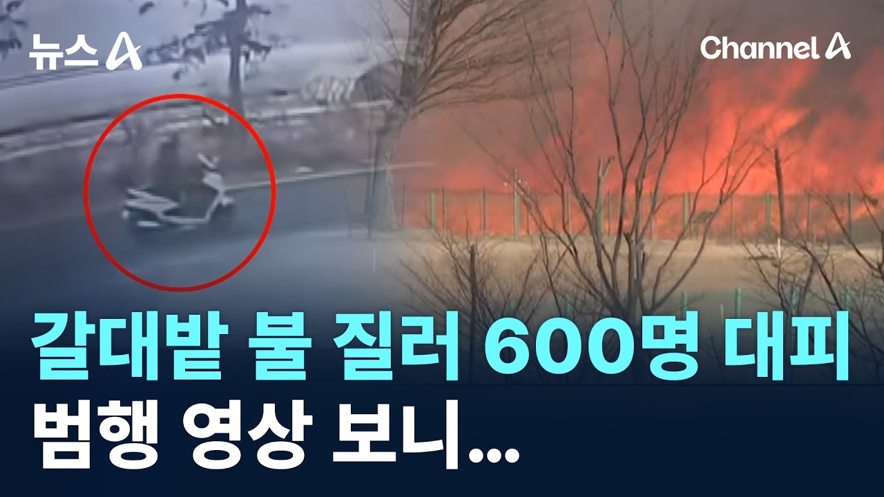 갈대밭 불 질러 600명 대피…범행 영상 보니 / 채널A / 뉴스A