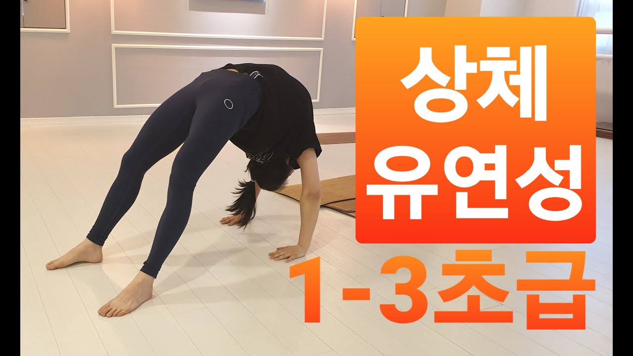 1-3초급)상체유연성(어깨 /가슴유연성 및 근력 운동)