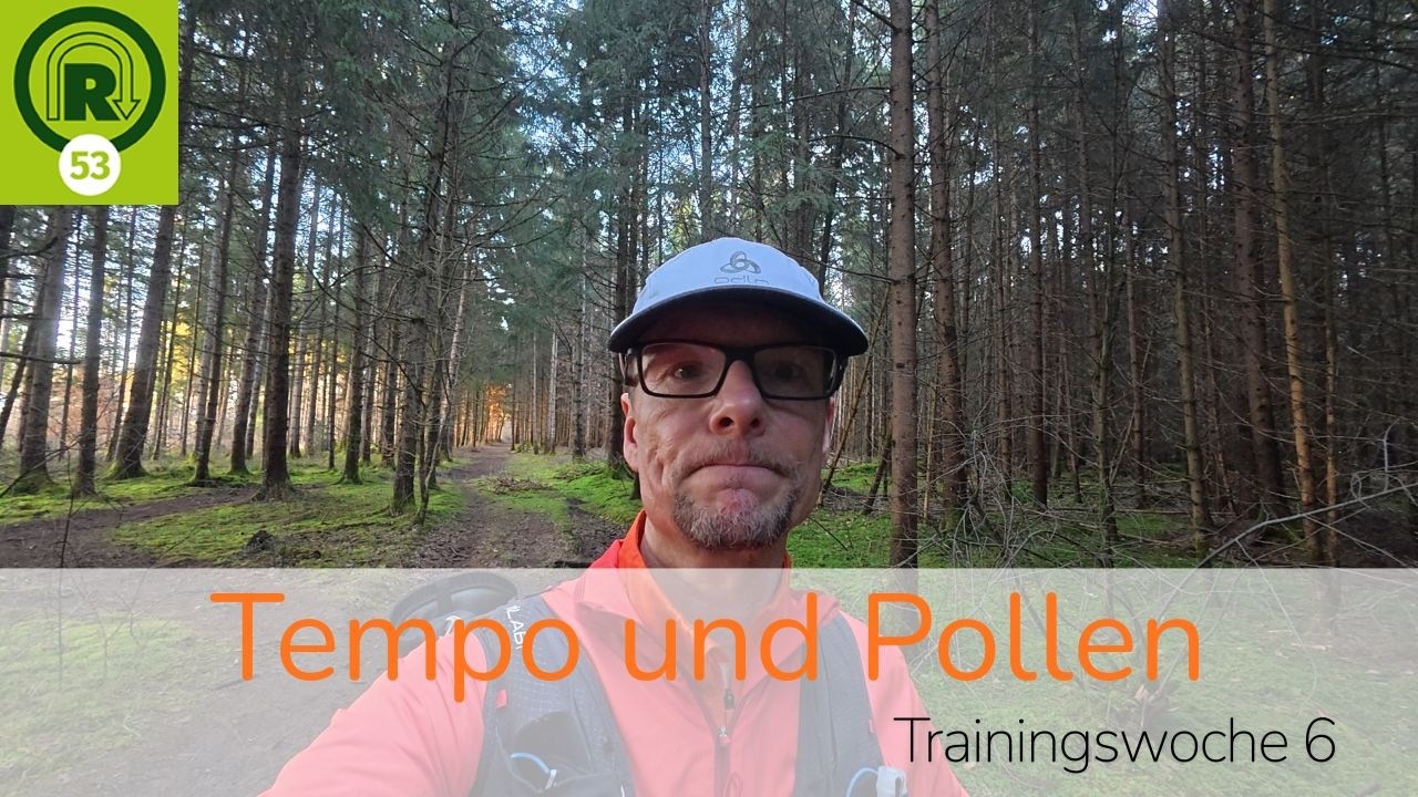 Rennsteig Supermarathon Training Woche 6 | Tempo & Pollen
