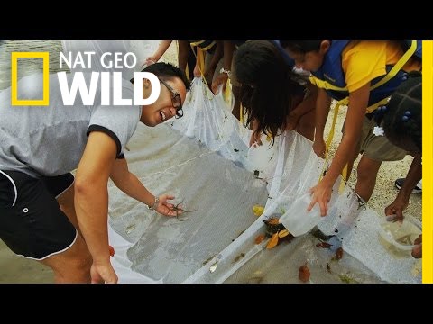 Fishin' Impossible: Changing Lives | Fish Tank Kings