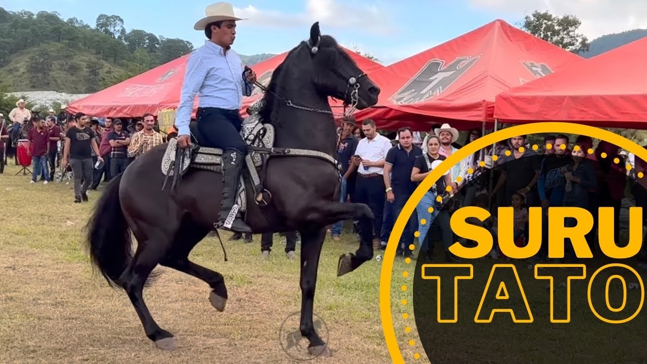 ⭐ CABALLOS BAILADORES EN LA CABALGATA SURUTATO 2022 - 4K P1