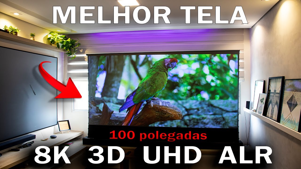 VIVIDSTORM ALR SCREEN - English CC