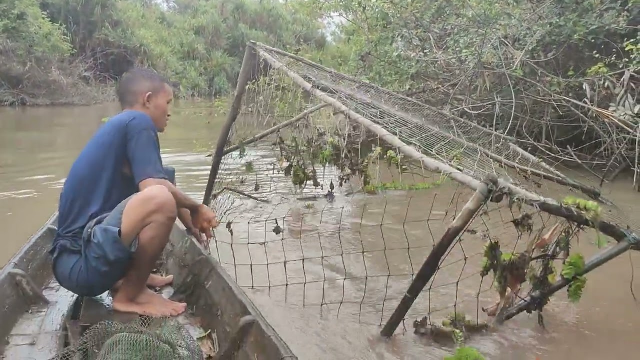 kita lihat pangilar di iang bolong!!!!hasil nya tapah babon terperangkap😚😂😂😂