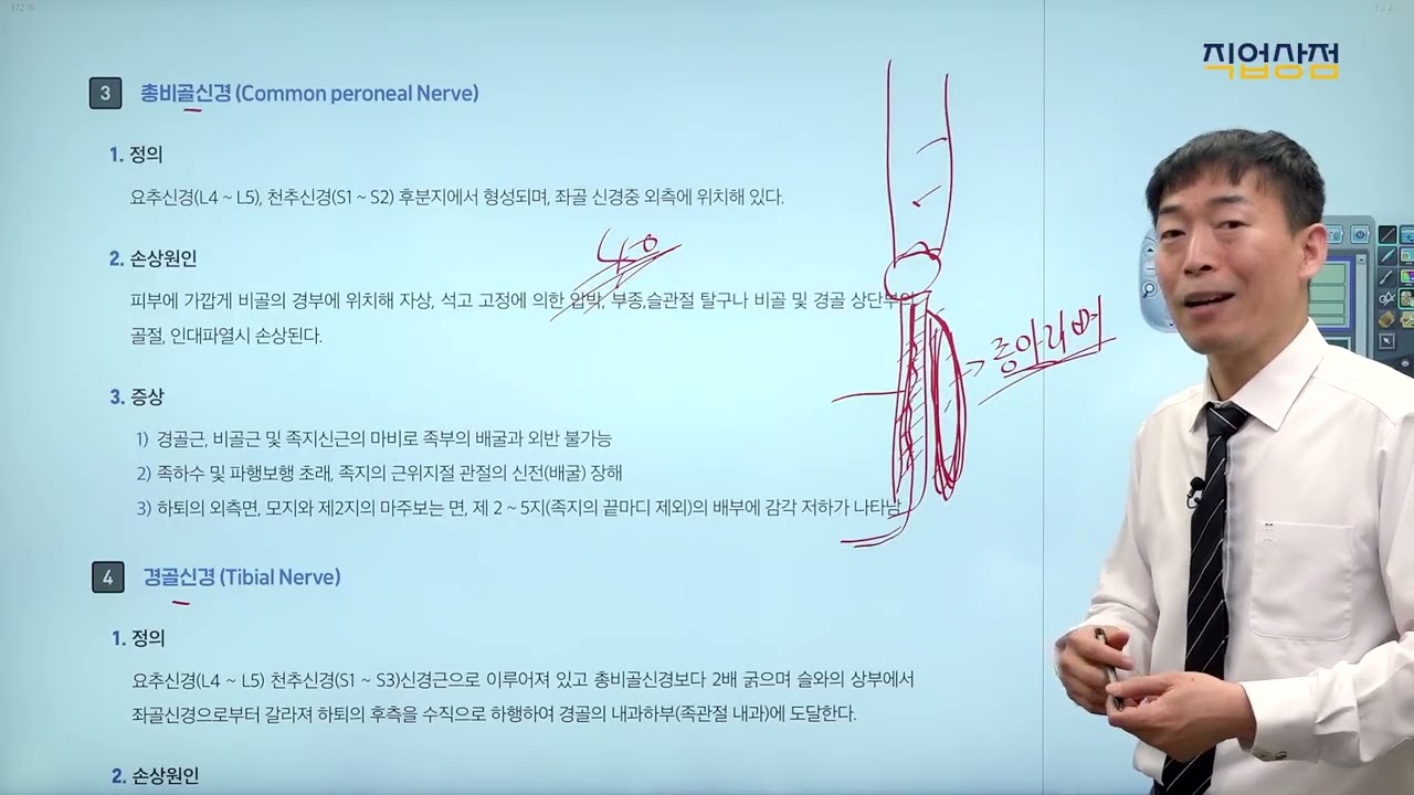 [손해사정사 무료강의] 2차 의학 16강 이론 - 하지의 주요 신경의 기능과 손상