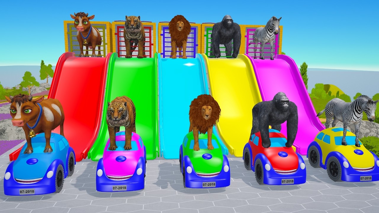 Long Slide Game With Cow Elephant Gorilla Hippopotamus Tiger 3d Animal Game Funny 3d Animals