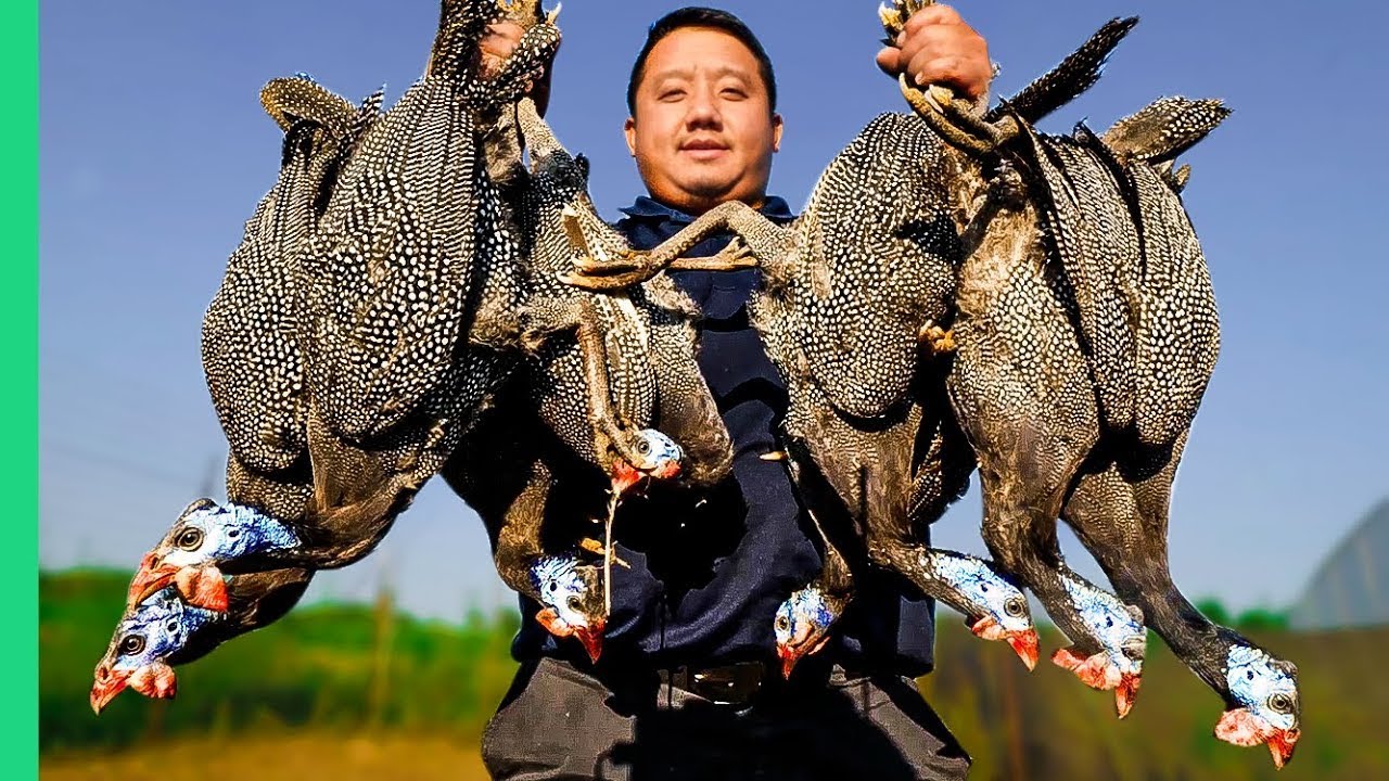 Exotic Birds TAKEOVER Wisconsin!!! Cooking HMONG Style in the Midwest!!
