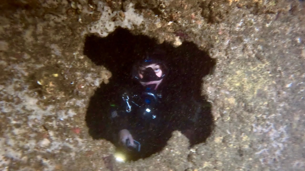 Night diving the largest shipwreck in Sydney the TSS Currajong