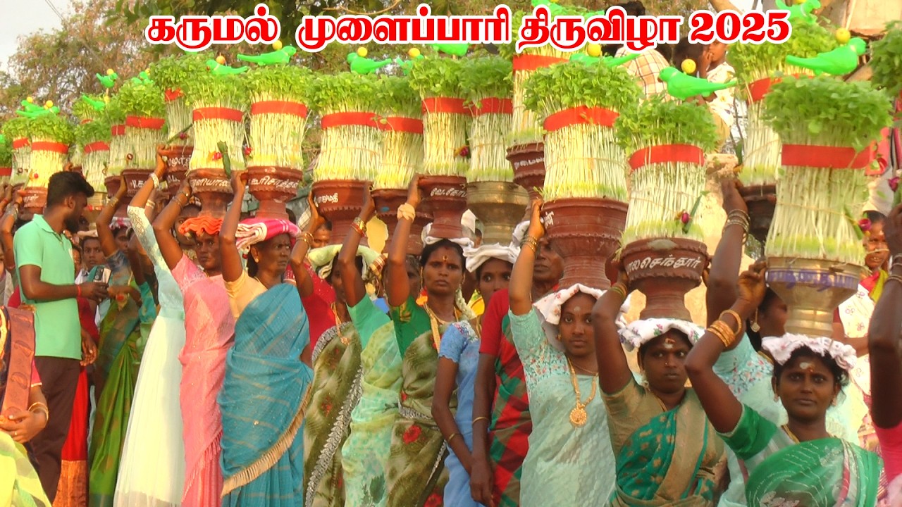 கருமல் பறக்கும் படை இளைஞர்களின் ஆட்டம் | கருமல் முளைப்பாரி திருவிழா 2025 | KS MEDIA
