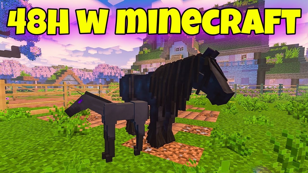 48H W MINECRAFT! WERSJA JEŹDZIECKA | MOD SWEM