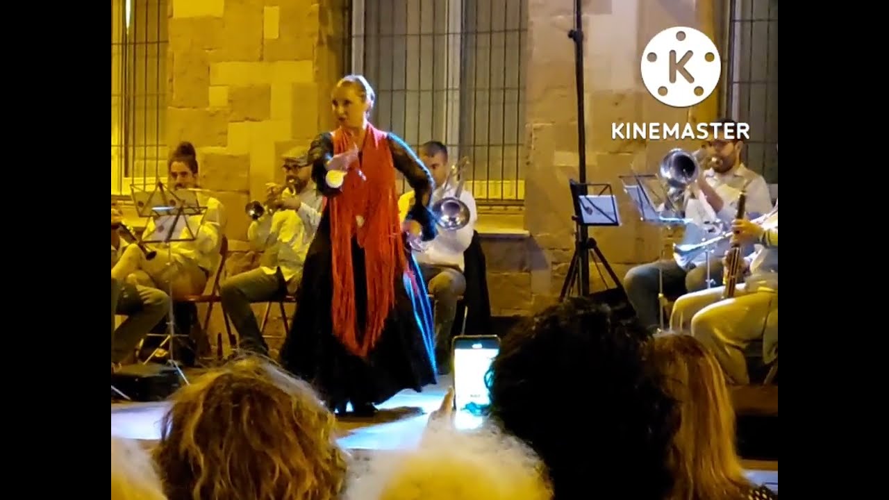 Sardanes amb Mestissatge