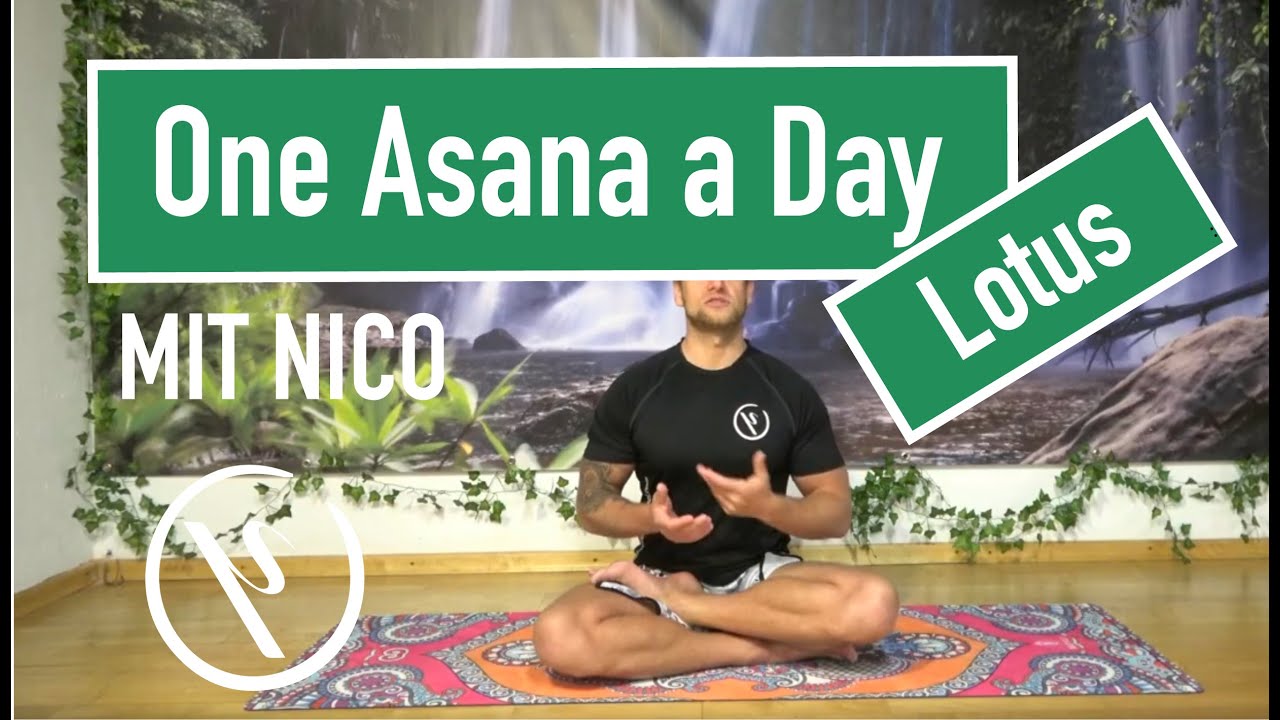 One Asana a day   Lotussitz