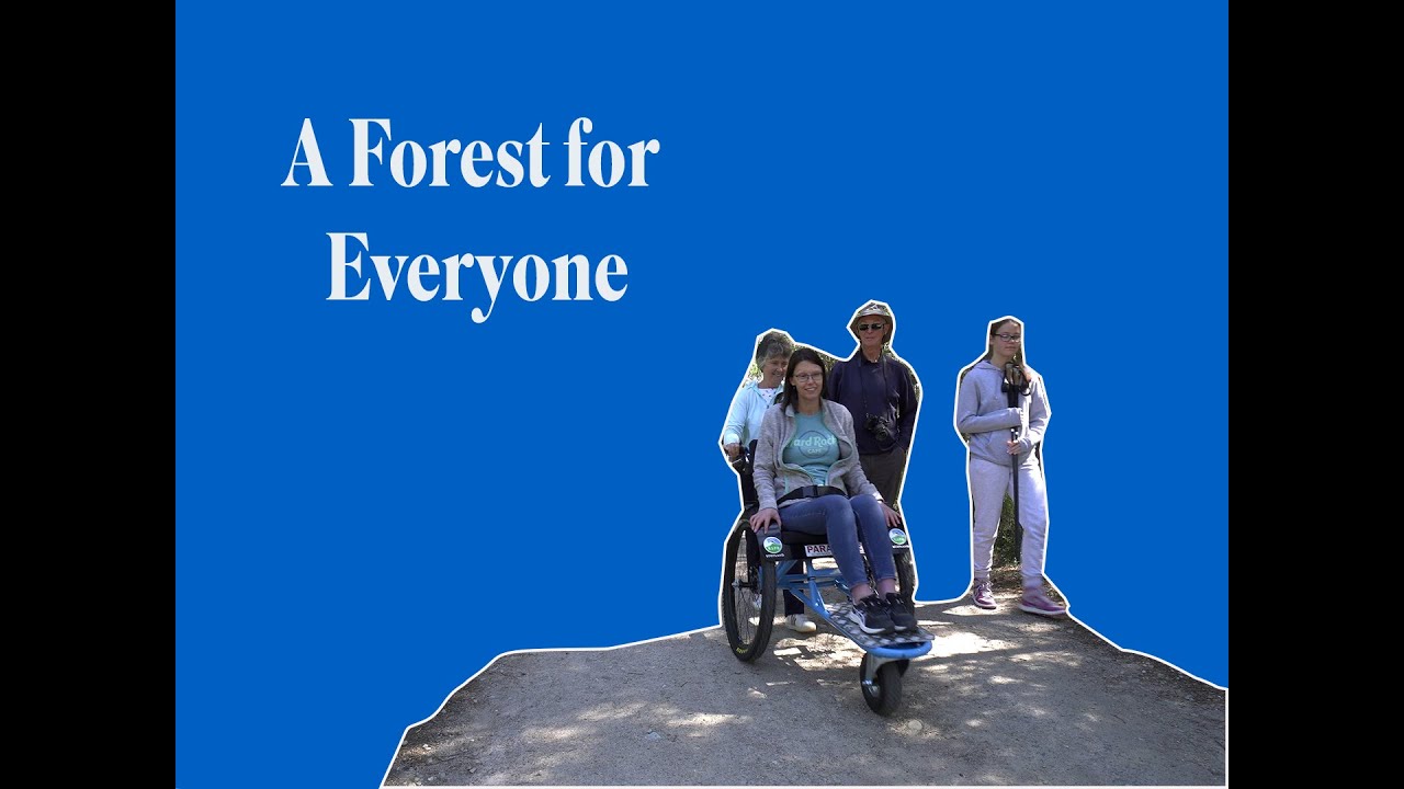 ABERNETHY - A FOREST FOR EVERYONE