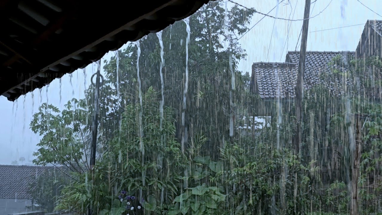 Real Shingle Rain Recorded Naturally 🌧️ Tin Roof Rain for Sleep 