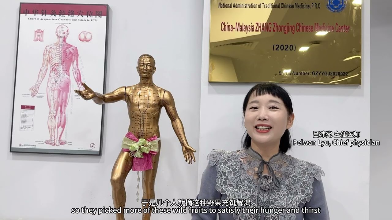为什么覆盘子可以益精缩尿