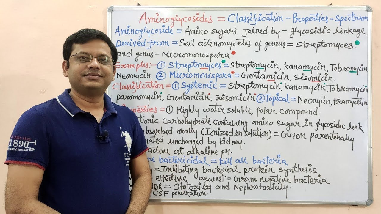 Chemotherapy of Antibiotics (Part-19) Aminoglycoside (01) = Classification, Properties | Antibiotics