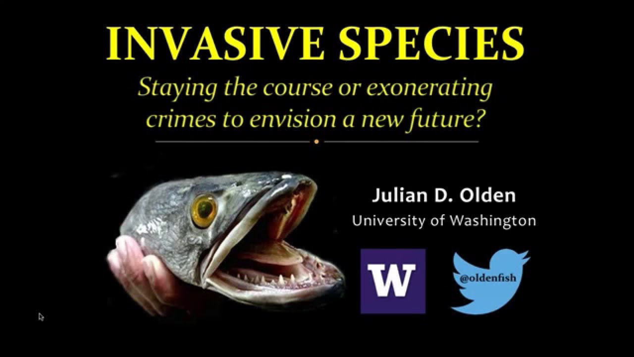 2015 Hynes Public Lecture