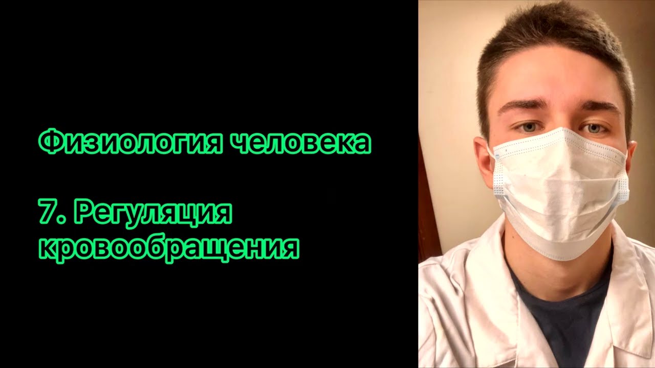 Лекция 7. Регуляция кровообращения. Нормальная физиология.