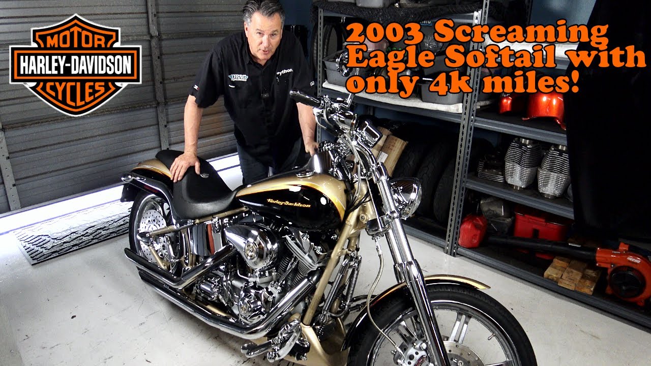 Harley-Davidson 100th Anniversary Screaming Eagle Softail Deuce/Fuel System and Tank Re-Line