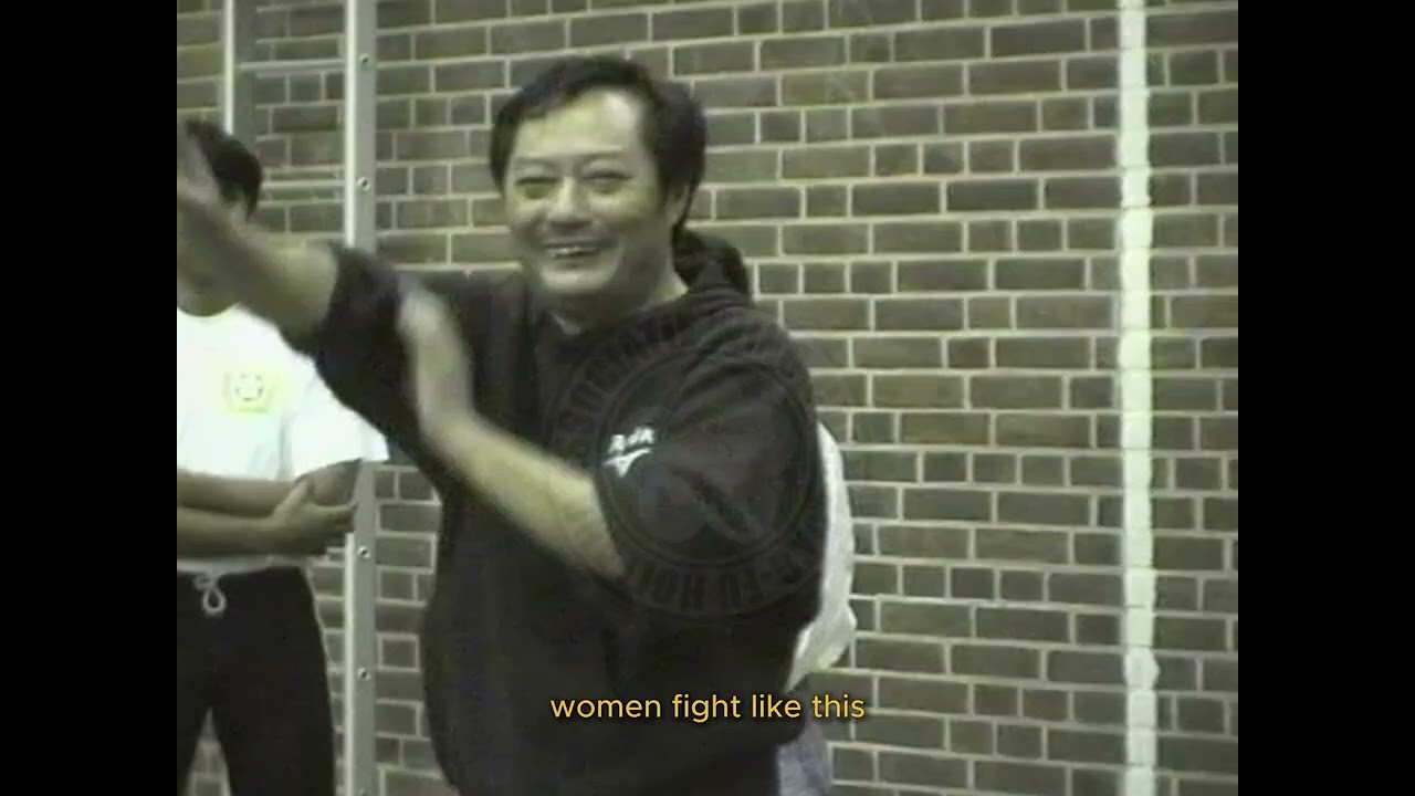 (Part 5) Wong Shun Leung Seminar in Holland 1994 #wingchun