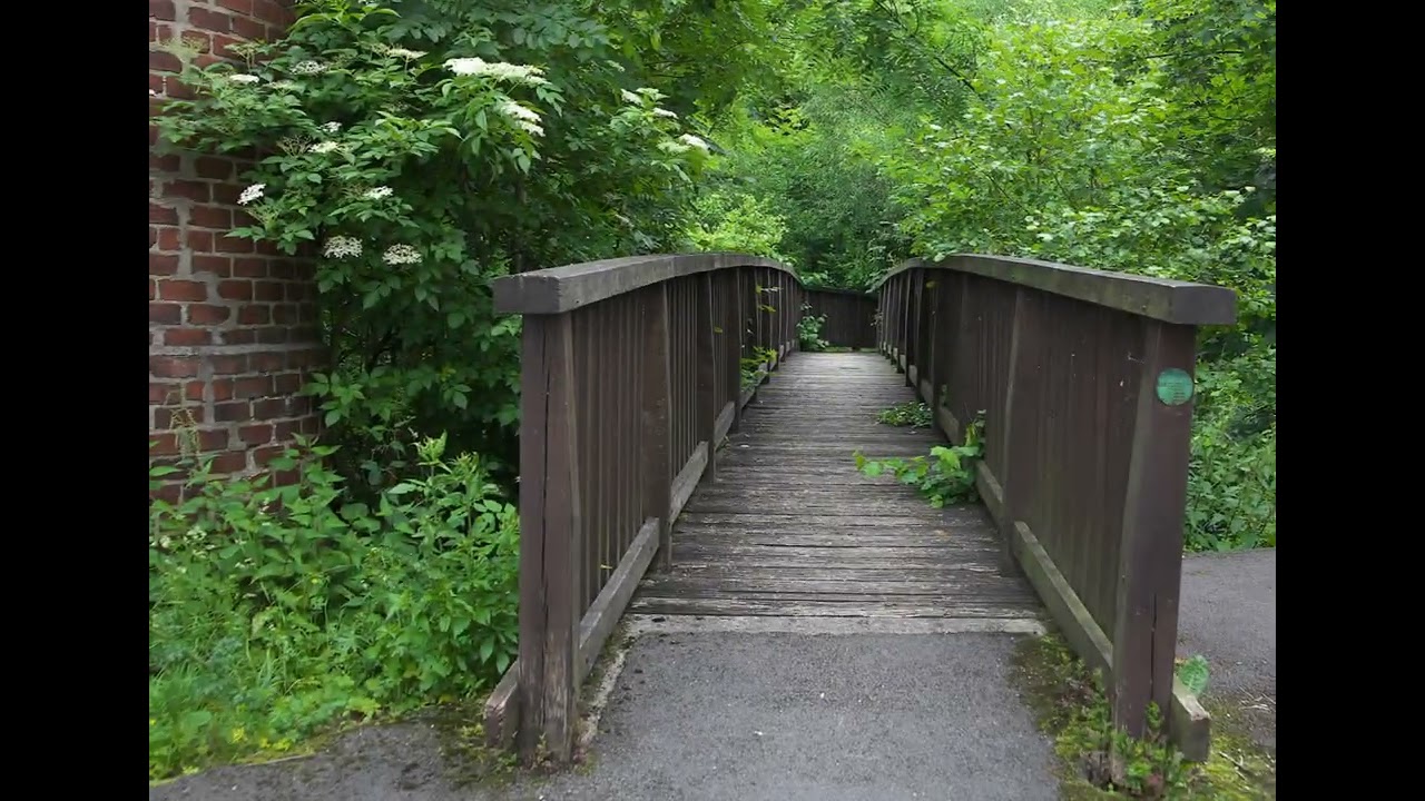 Die R&ouml;hr