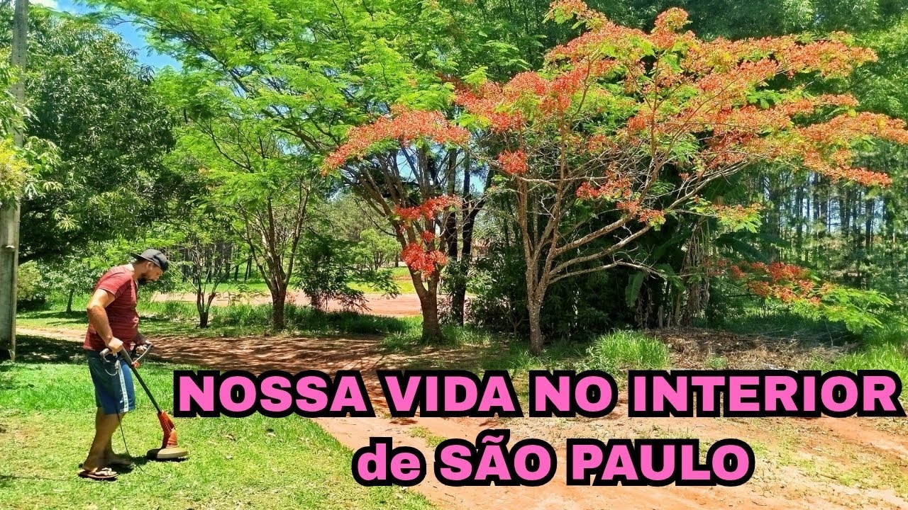 A PAZ de MORAR LONGE dos CENTROS URBANOS #estoquedealimentos #sobrevivencia #compradomes 