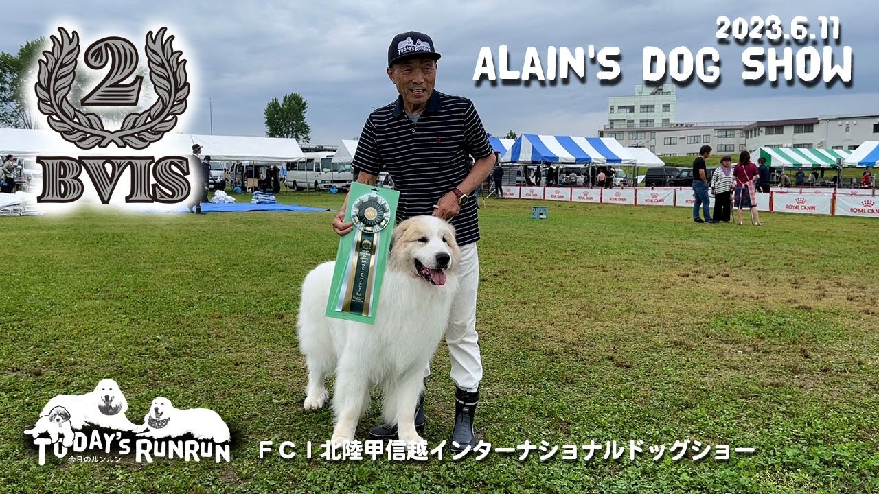 【BVIS 2nd】アランのドッグショー FCI北陸甲信越インターナショナルドッグショー　Great Pyrenees　グレートピレニーズ