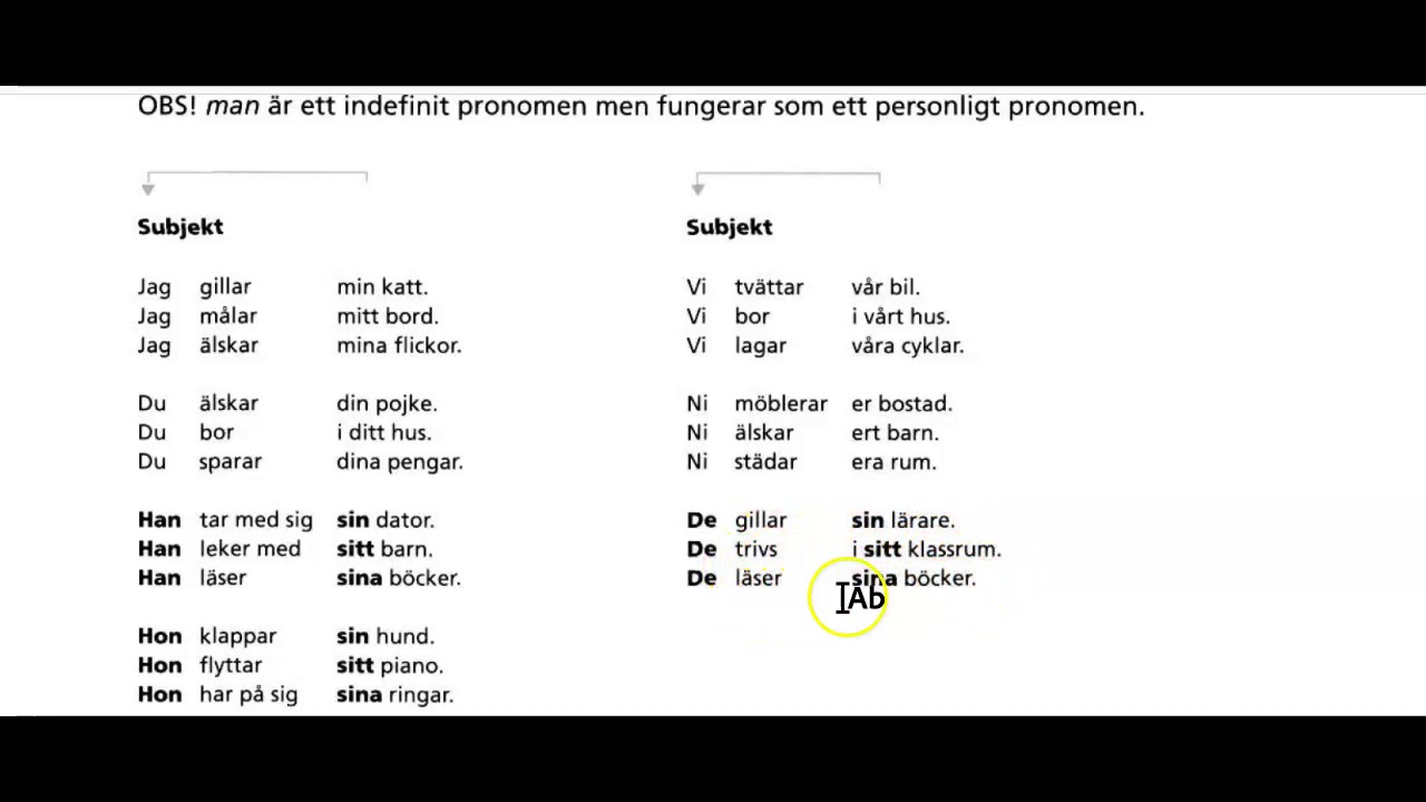 Pronomen- övning 9( reflexiva possessiva pronomen)