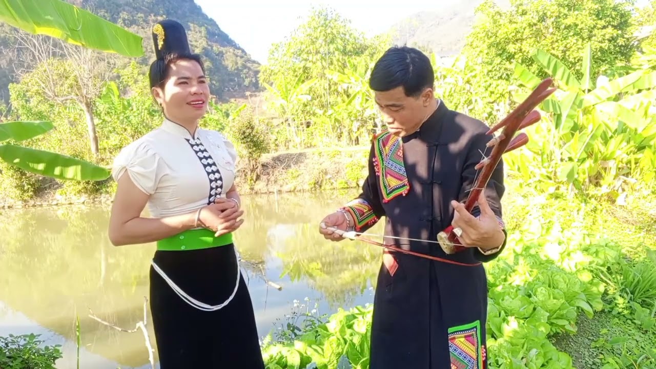 bài hát tổng hợp