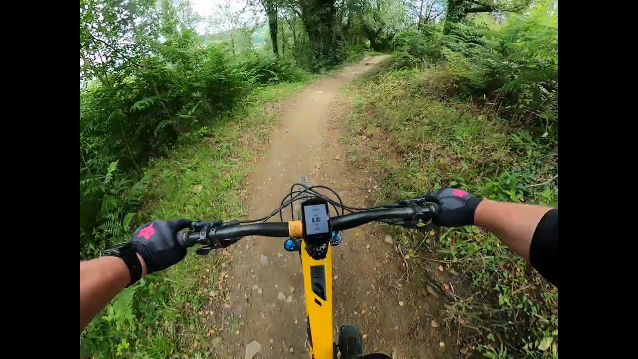 Bikepark Wales - Snake Bite 🔴 (1st sighting run)