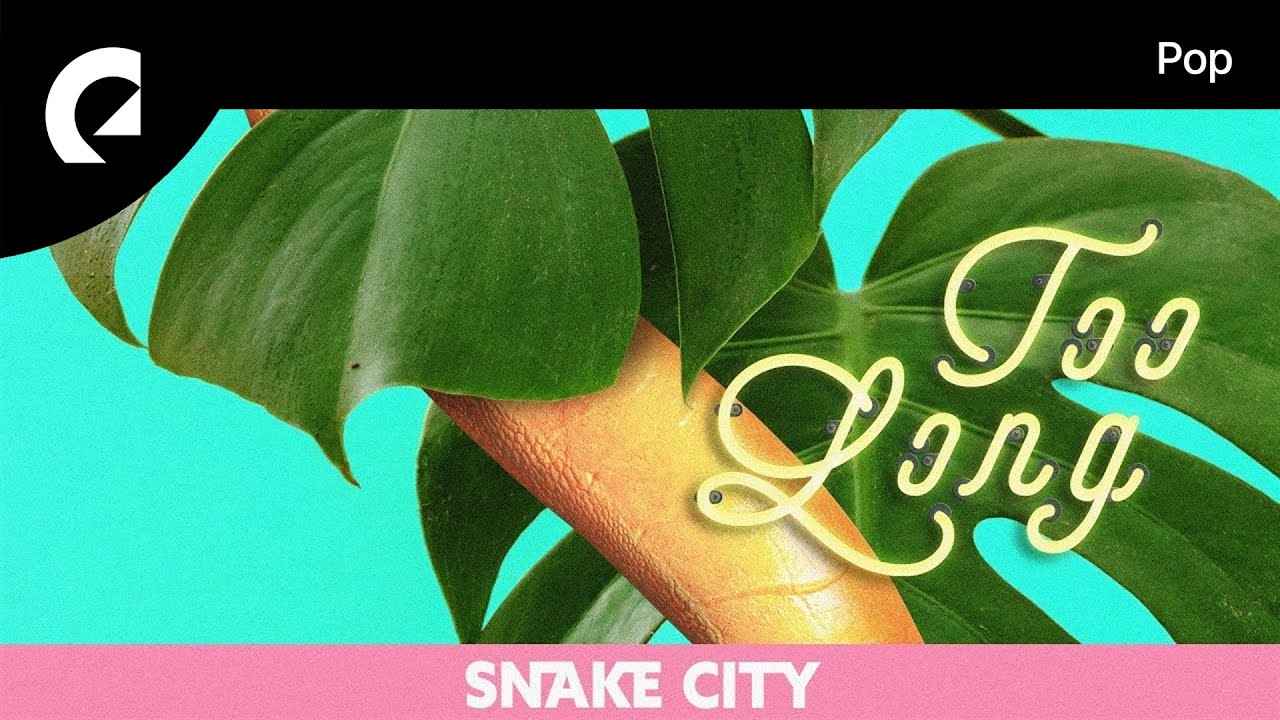 Snake City - Wait a Minute