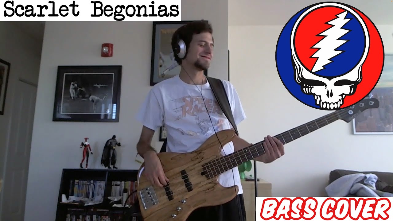 Scarlet Begonias - Grateful Dead | Bass Cover