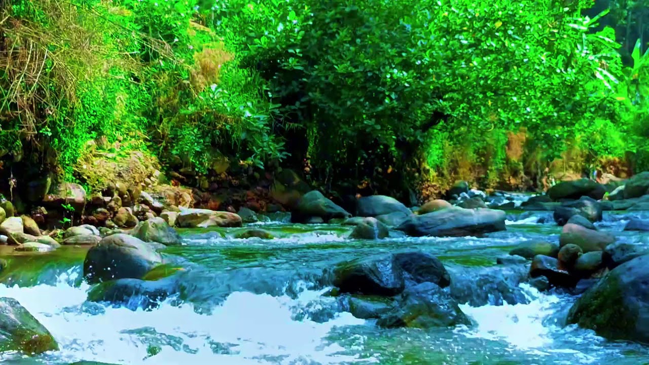 Calm River Flow Ambience | Deep Sleep Relaxation with Nature Sounds