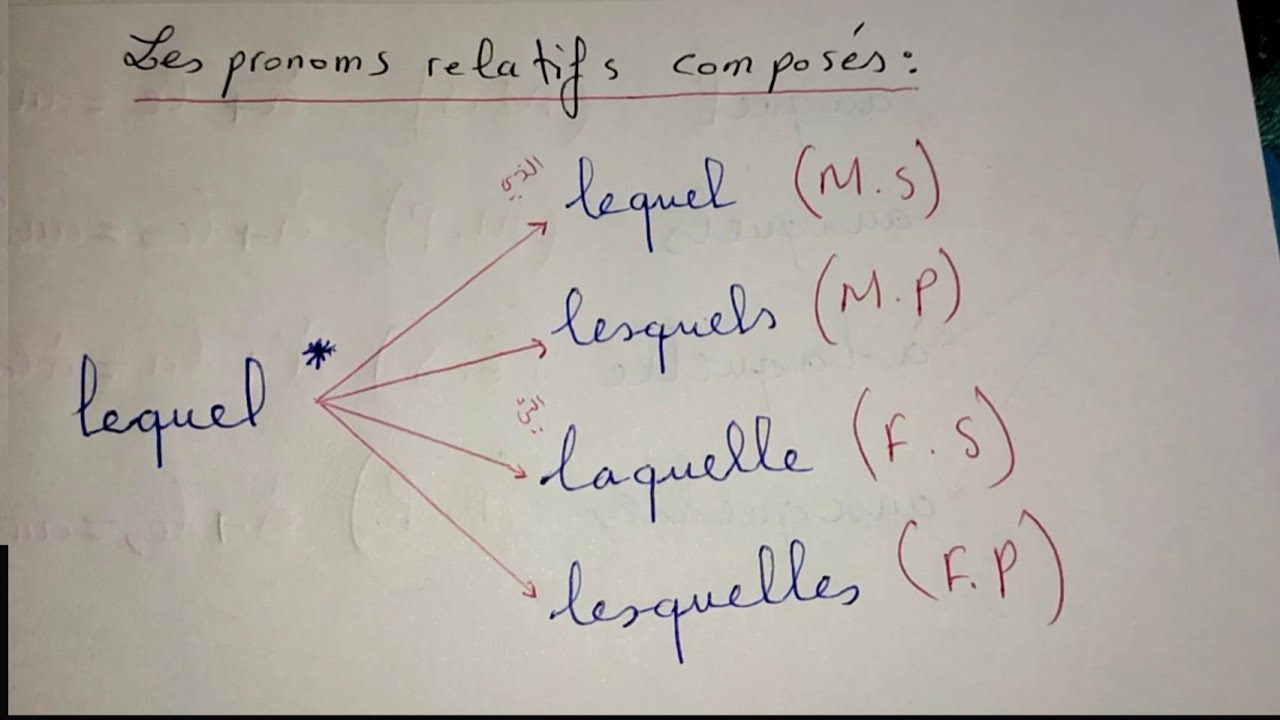 Les pronoms relatifs composés : lequel lesquels laquelle lesquelles