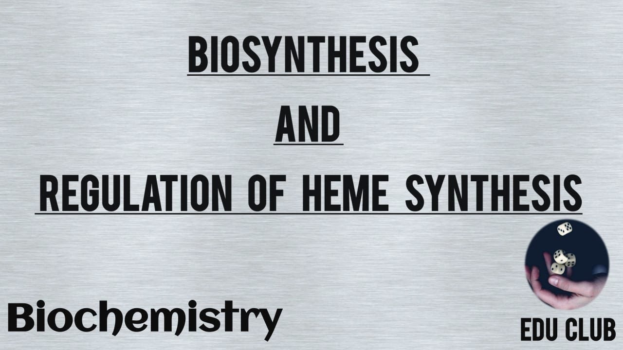 Heme Biosynthesis And Regulation || Biochemistry