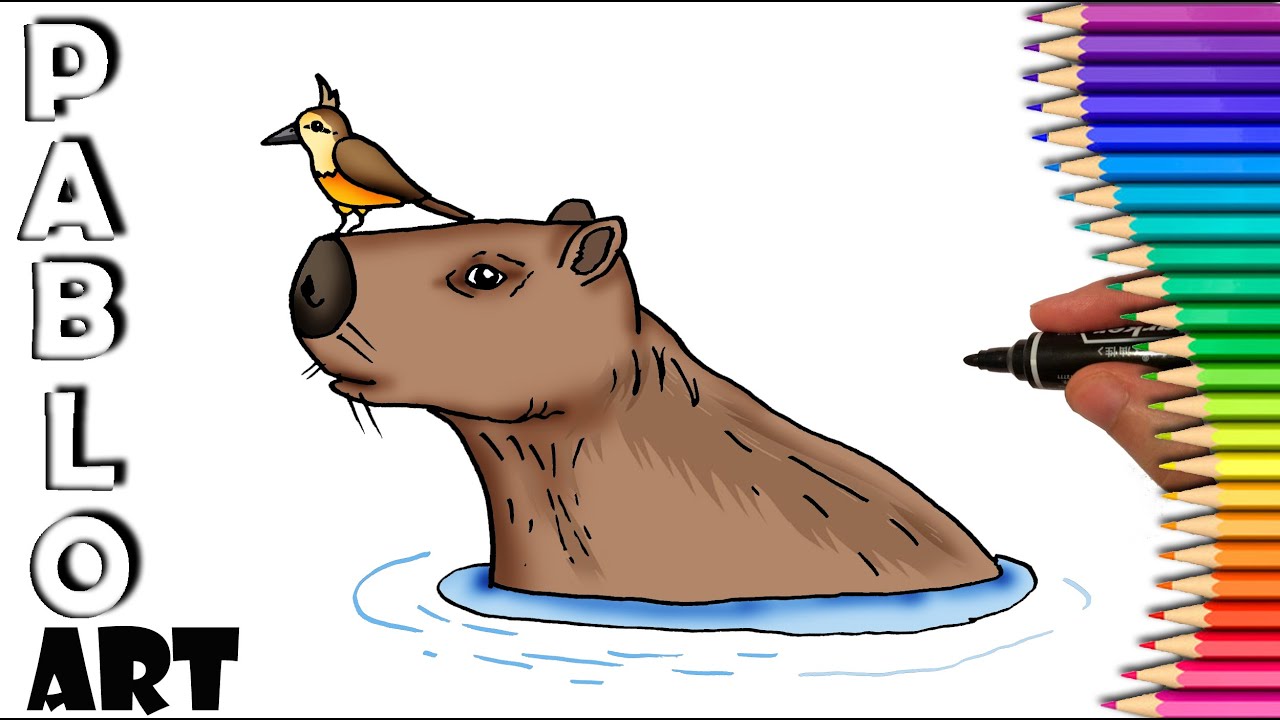 How to Draw a Capybara | Learn to Draw step by step