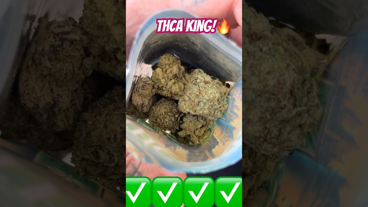 THCA KING!Residual sugar strain!#thcaking #THCAKING #greenhouse #thcagreenhouse #piff #420 #legalbud