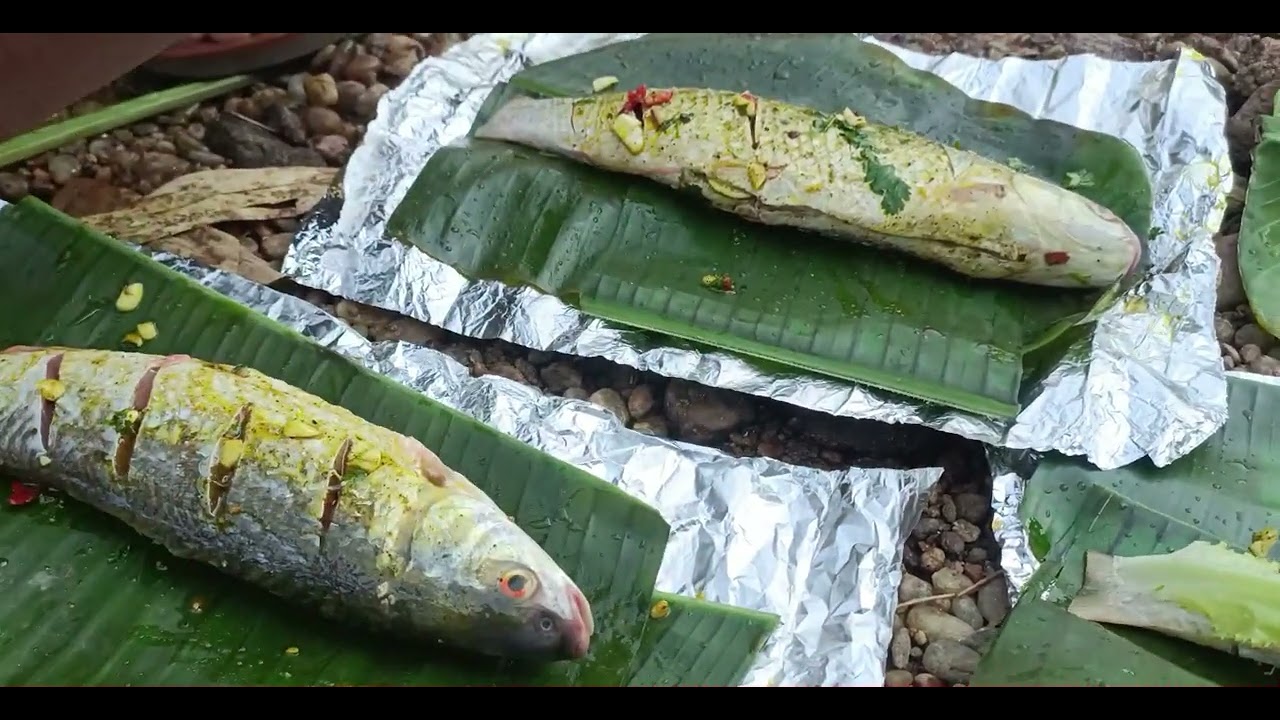 Cooked Foil Roasted Fish in Jungle